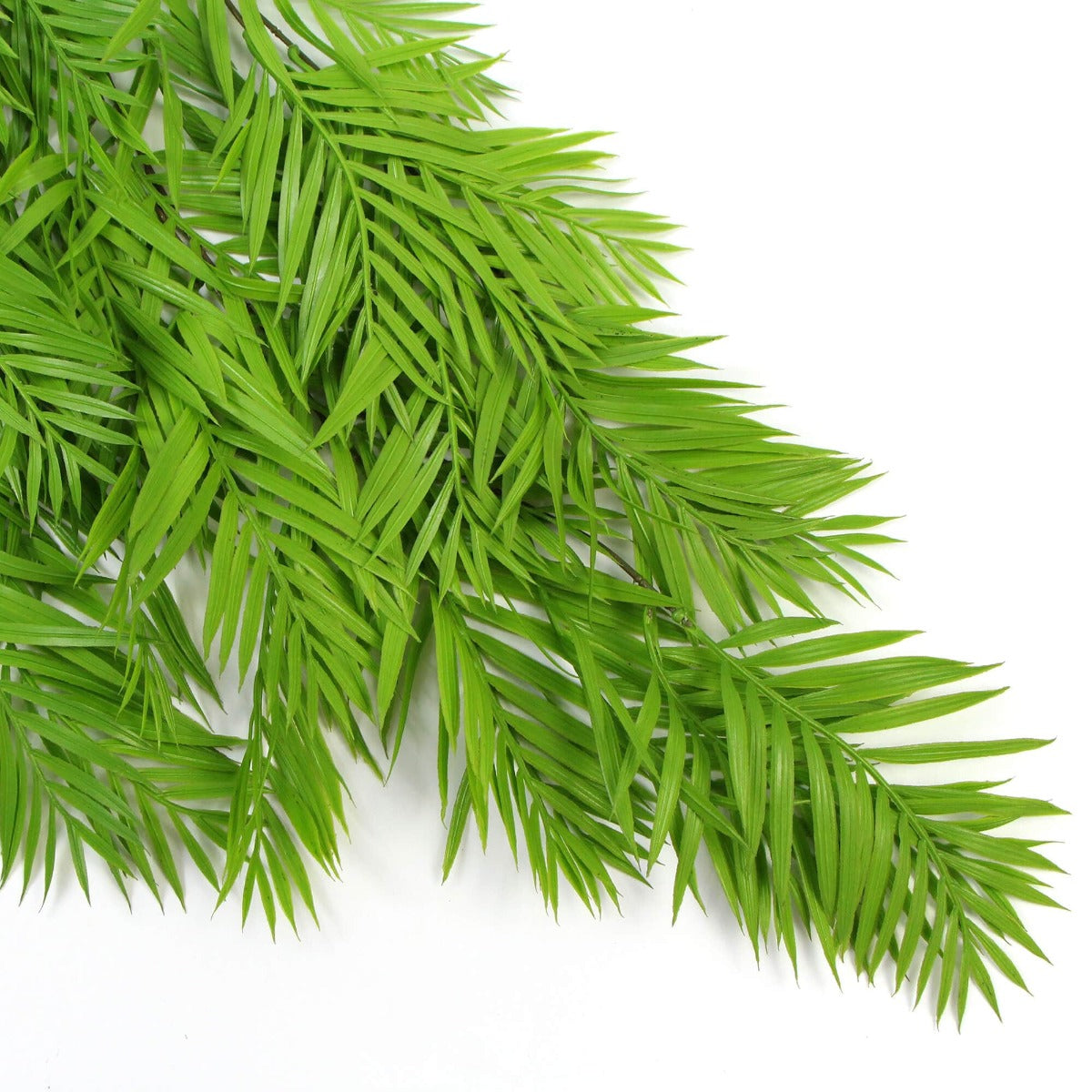 Hanging Fresh Green Bamboo Leaf Fern UV Resistant 80cm-Home &amp; Garden &gt; Artificial Plants-PEROZ Accessories