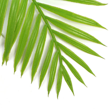Hanging Fresh Green Bamboo Leaf Fern UV Resistant 80cm-Home &amp; Garden &gt; Artificial Plants-PEROZ Accessories