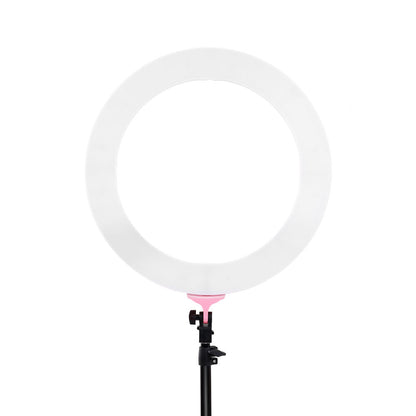 Embellir Ring Light 19&quot; LED 5800LM Dimmable Diva With Stand Make Up Studio Video Pink-Audio &amp; Video &gt; Photography-PEROZ Accessories