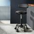 Artiss Salon Stool Swivel Chairs with Back Barber Beauty Hydralic Lift-Furniture > Bar Stools & Chairs - Peroz Australia - Image - 1