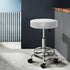 Artiss Round Chair Stools Salon Stool White Swivel Beauty Barber Hairdressing-Furniture > Bar Stools & Chairs - Peroz Australia - Image - 1