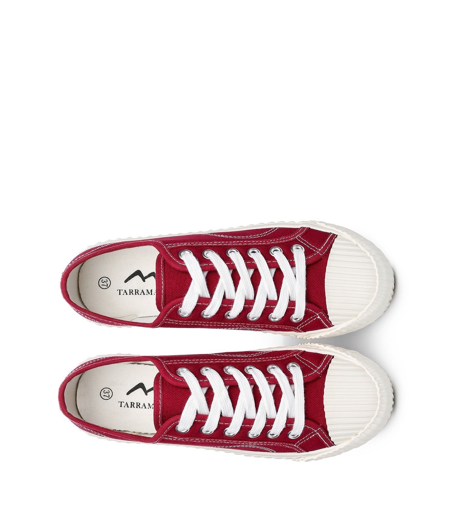 TARRAMARRA Canvas Sneakers Women Cracker Plus-Sneakers-PEROZ Accessories