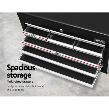 Giantz 10-Drawer Tool Box Chest Cabinet Garage Storage Toolbox Black Silver-Tools &gt; Tools Storage-PEROZ Accessories
