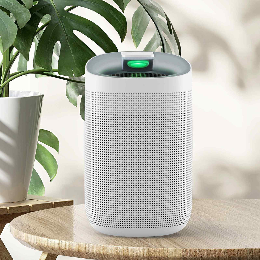 MyGenie 2-in-1 Air Purifier and Dehumidifier WI-FI Control HEPA Filter White-Air Purifiers-PEROZ Accessories