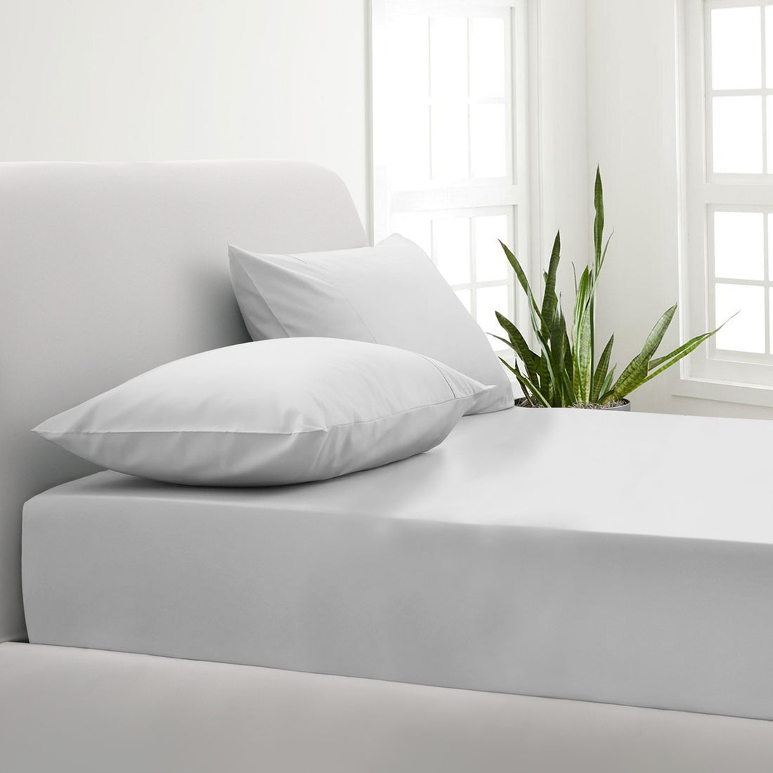 Park Avenue 1000TC Cotton Blend Sheet &amp; Pillowcases Set Hotel Quality Bedding - Single - White-Bed Sheets-PEROZ Accessories