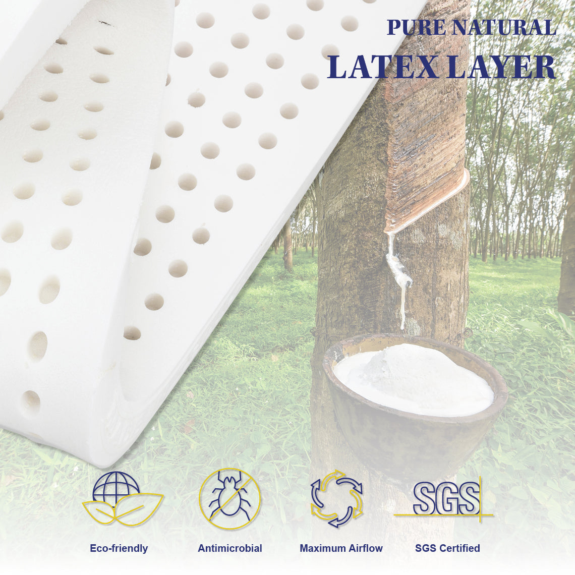 Grandeur Single Mattress Latex Foam 7 Zone Pocket Spring-Furniture &gt; Mattresses-PEROZ Accessories