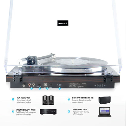 mbeat Hi-Fi Bluetooth Turntable (MMC, USB, Anti-skating, Preamplifier) - Macassar Ebony-Audio &amp; Video &gt; Speakers-PEROZ Accessories
