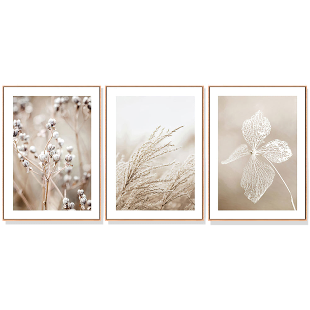 40cmx60cm Dried Flower 3 Sets Wood Frame Canvas Wall Art-Home &amp; Garden &gt; Wall Art-PEROZ Accessories