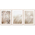 40cmx60cm Dried Flower 3 Sets Wood Frame Canvas Wall Art-Home & Garden > Wall Art-PEROZ Accessories