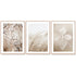 50cmx70cm Dried Flower 3 Sets Wood Frame Canvas Wall Art-Home & Garden > Wall Art-PEROZ Accessories