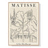 70cmx100cm Line Art By Henri Matisse Wood Frame Canvas Wall Art-Home & Garden > Wall Art-PEROZ Accessories