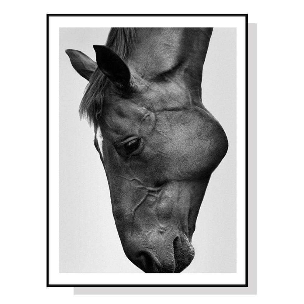 60cmx90cm Modern Black Horse Black Frame Canvas Wall Art-Home & Garden > Wall Art-PEROZ Accessories