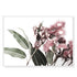 60cmx90cm Eucalyptus in Bloom White Frame Canvas Wall Art-Home & Garden > Wall Art-PEROZ Accessories