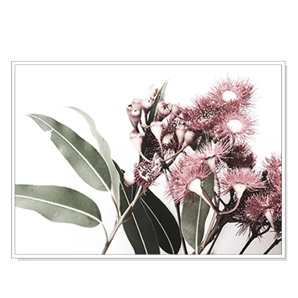 70cmx100cm Eucalyptus in Bloom White Frame Canvas Wall Art-Home &amp; Garden &gt; Wall Art-PEROZ Accessories