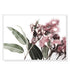 70cmx100cm Eucalyptus in Bloom White Frame Canvas Wall Art-Home & Garden > Wall Art-PEROZ Accessories