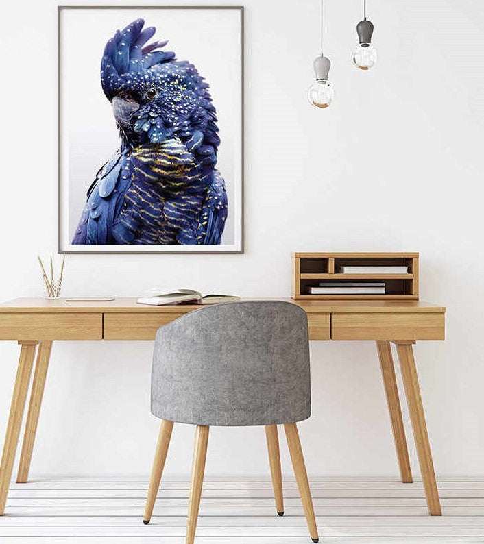 50cmx70cm Black Cockatoo A Black Frame Canvas Wall Art-Home & Garden > Wall Art-PEROZ Accessories