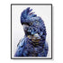 70cmx100cm Black Cockatoo A Black Frame Canvas Wall Art-Home & Garden > Wall Art-PEROZ Accessories