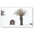 60cmx90cm European Palm Tree White Frame Canvas Wall Art-Home & Garden > Wall Art-PEROZ Accessories