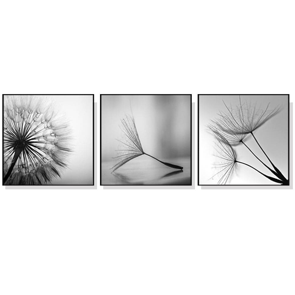 50cmx50cm Botanical dandelions 3 Sets Black Frame Canvas Wall Art-Home &amp; Garden &gt; Wall Art-PEROZ Accessories
