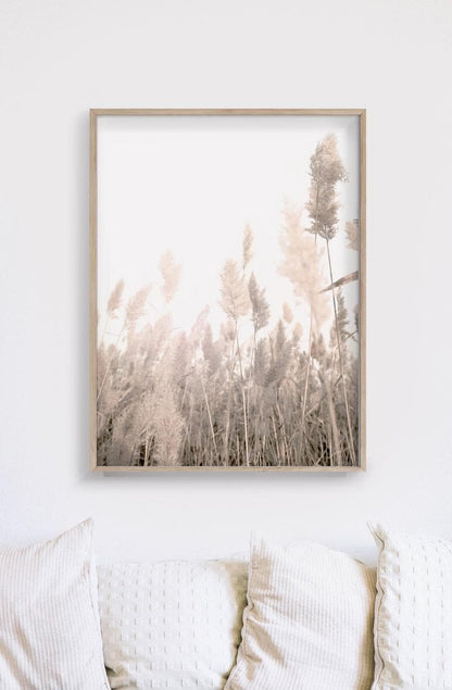 50cmx70cm Pampas Grass 2 Sets Wood Frame Canvas Wall Art-Home &amp; Garden &gt; Wall Art-PEROZ Accessories
