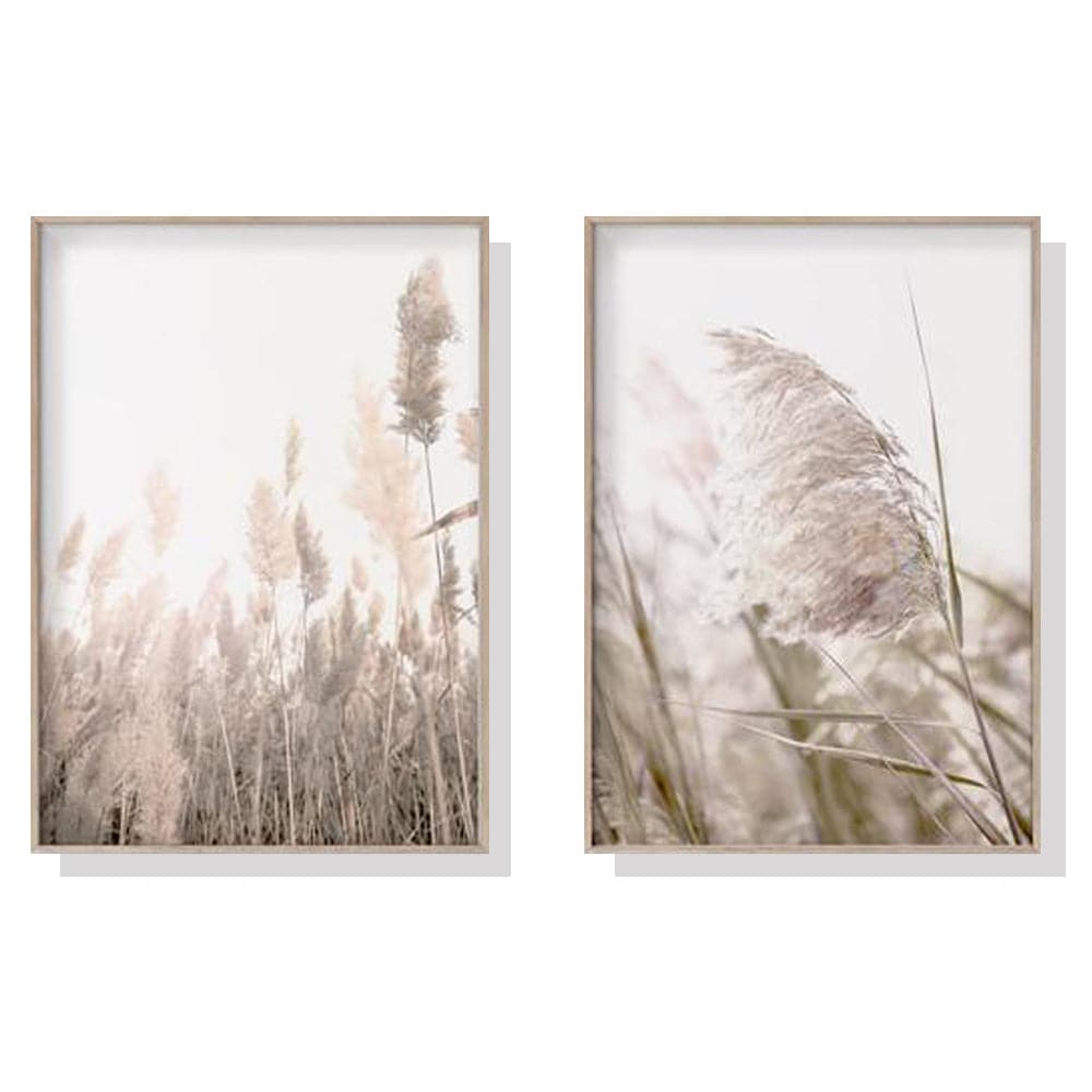 50cmx70cm Pampas Grass 2 Sets Wood Frame Canvas Wall Art-Home &amp; Garden &gt; Wall Art-PEROZ Accessories
