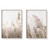 50cmx70cm Pampas Grass 2 Sets Wood Frame Canvas Wall Art-Home & Garden > Wall Art-PEROZ Accessories