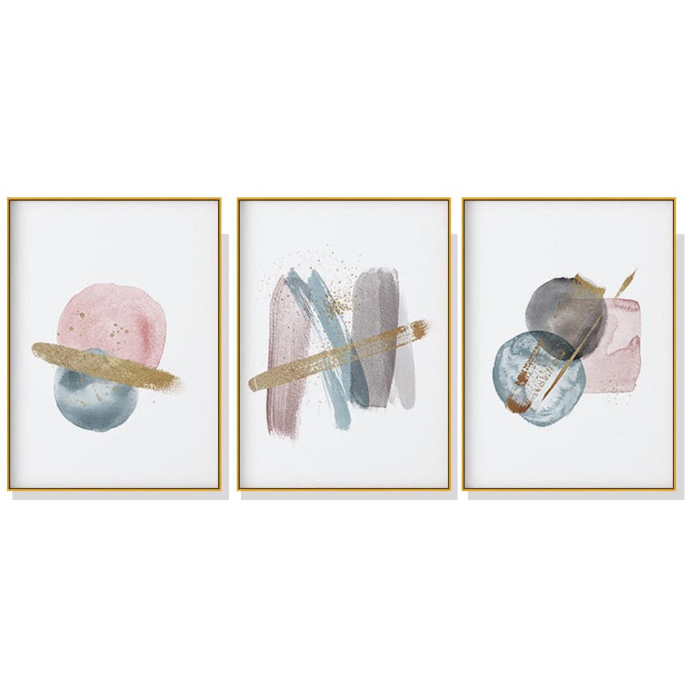 60cmx90cm Blush Pink Watercolor 3 Sets Gold Frame Canvas Wall Art-Home &amp; Garden &gt; Wall Art-PEROZ Accessories