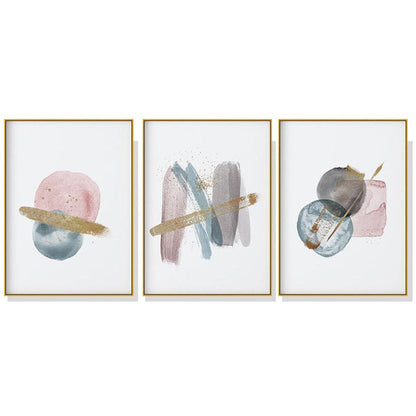 60cmx90cm Blush Pink Watercolor 3 Sets Gold Frame Canvas Wall Art-Home &amp; Garden &gt; Wall Art-PEROZ Accessories