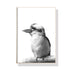 70cmx100cm Kookaburra Black Frame Canvas Wall Art-Home & Garden > Wall Art-PEROZ Accessories