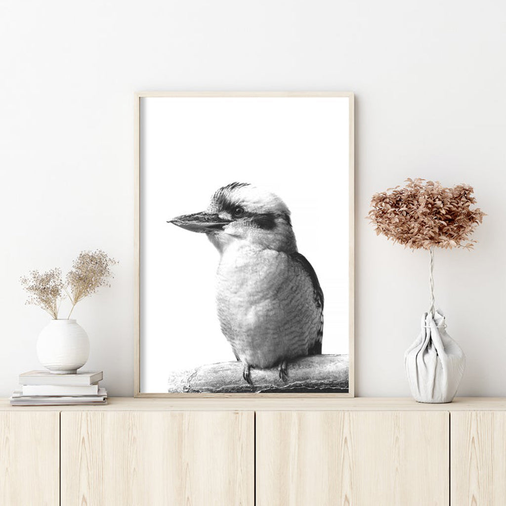 70cmx100cm Kookaburra Black Frame Canvas Wall Art-Home &amp; Garden &gt; Wall Art-PEROZ Accessories