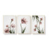 50cmx70cm Tulip Flower 3 Sets Gold Frame Canvas Wall Art-Home & Garden > Wall Art-PEROZ Accessories
