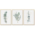50cmx70cm Eucalyptus Plant 3 Sets Gold Frame Canvas Wall Art-Home & Garden > Wall Art-PEROZ Accessories
