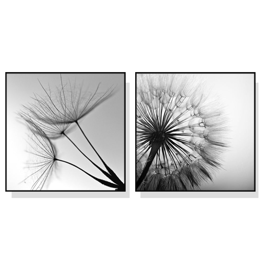 70cmx70cm Black and white dandelion 2 Sets Black Frame Canvas Wall Art-Home &amp; Garden &gt; Wall Art-PEROZ Accessories