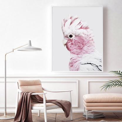 50cmx70cm Pink Galah White Frame Canvas Wall Art-Home &amp; Garden &gt; Wall Art-PEROZ Accessories