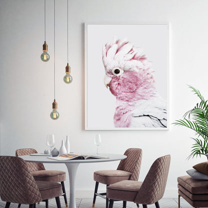 50cmx70cm Pink Galah White Frame Canvas Wall Art-Home &amp; Garden &gt; Wall Art-PEROZ Accessories