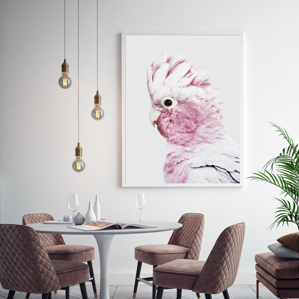 80cmx120cm Pink Galah White Frame Canvas Wall Art-Home &amp; Garden &gt; Wall Art-PEROZ Accessories