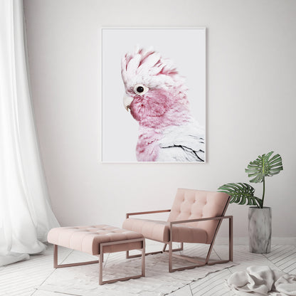 80cmx120cm Pink Galah White Frame Canvas Wall Art-Home &amp; Garden &gt; Wall Art-PEROZ Accessories