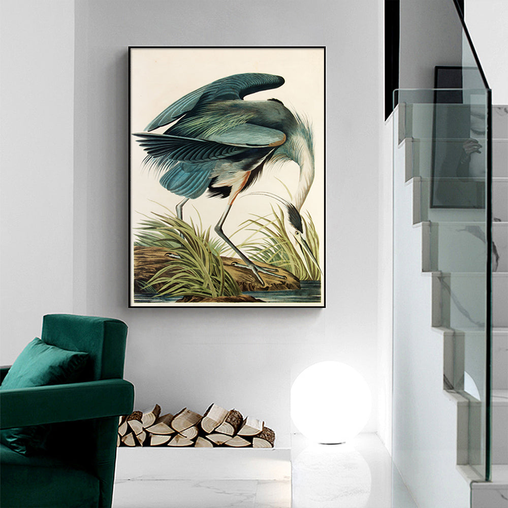 60cmx90cm Great Blue Heron By John James Audubon Black Frame Canvas Wall Art-Home &amp; Garden &gt; Wall Art-PEROZ Accessories