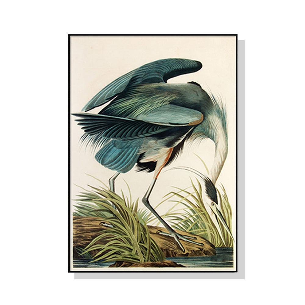 80cmx120cm Great Blue Heron By John James Audubon Black Frame Canvas Wall Art-Home &amp; Garden &gt; Wall Art-PEROZ Accessories