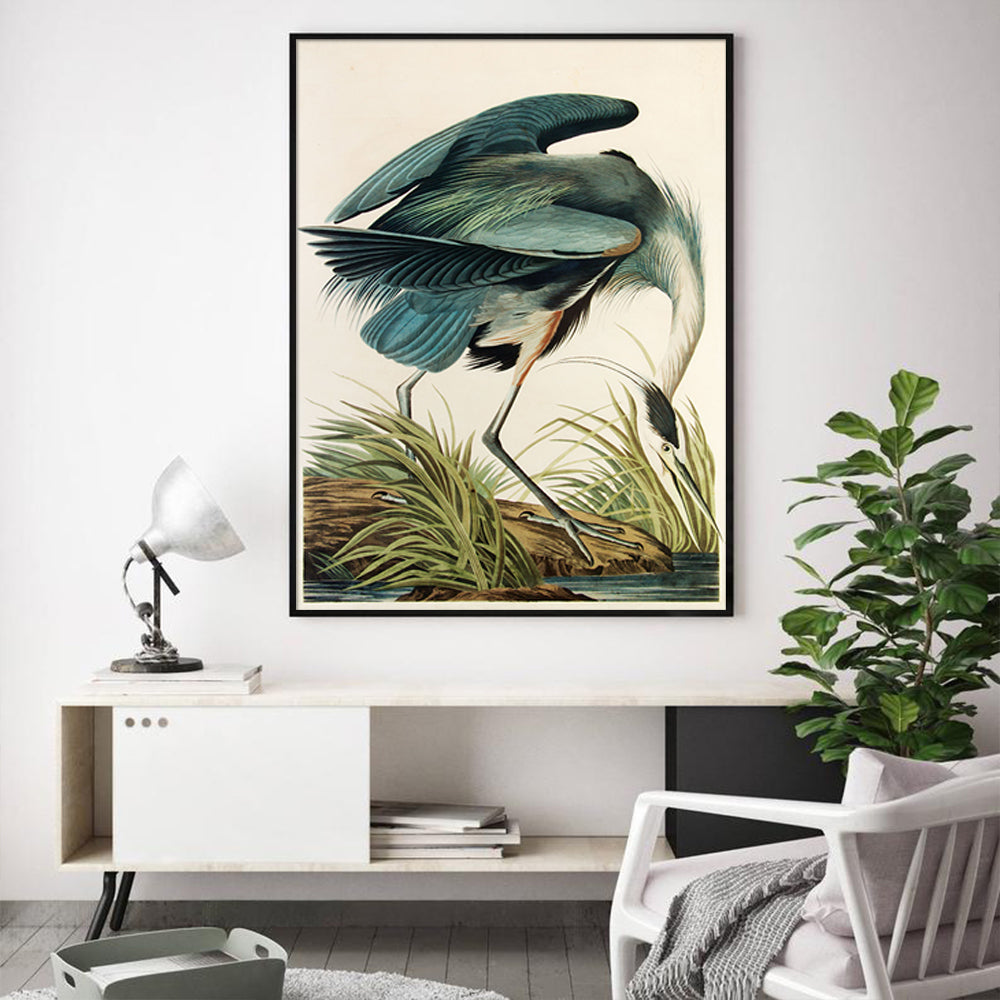 80cmx120cm Great Blue Heron By John James Audubon Black Frame Canvas Wall Art-Home &amp; Garden &gt; Wall Art-PEROZ Accessories