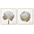 50cmx50cm Gold And White Blossom On White 2 Sets Gold Frame Canvas Wall Art-Home & Garden > Wall Art-PEROZ Accessories