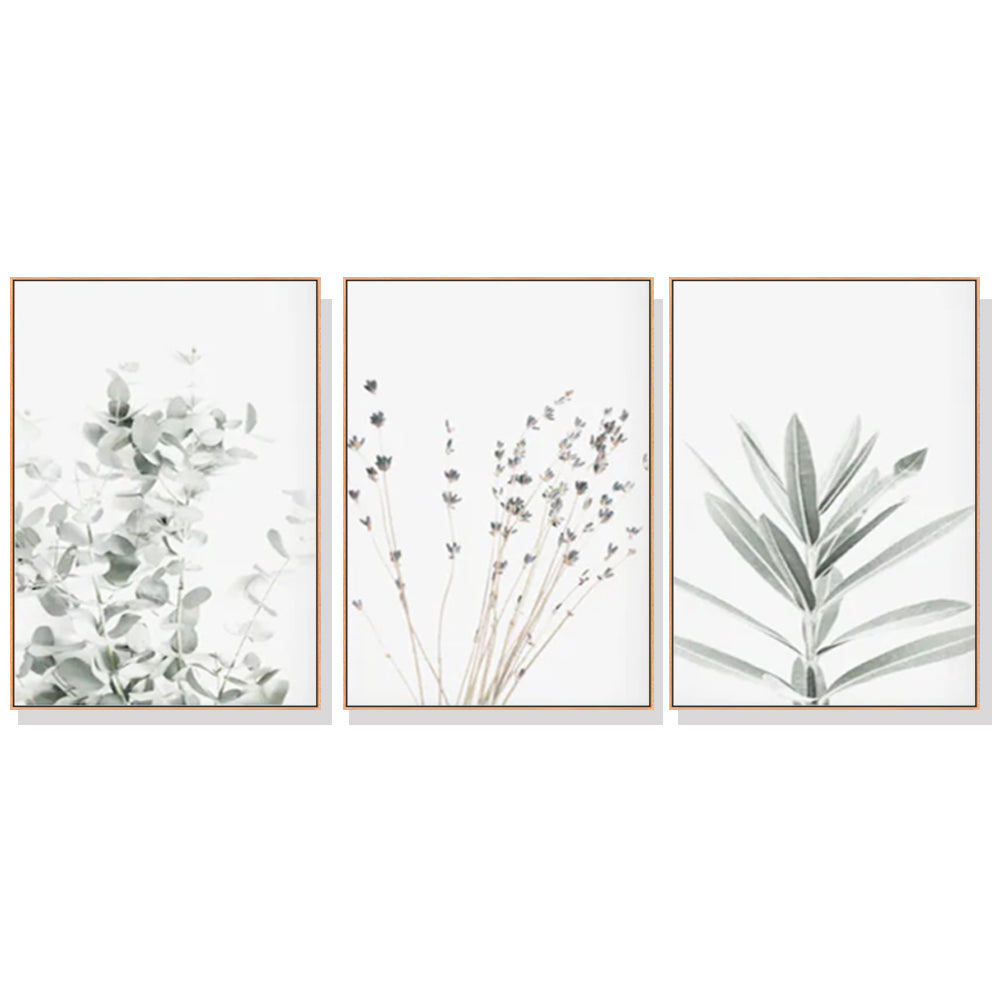 60cmx90cm Lavender Eucalyptus 3 Sets Wood Frame Canvas Wall Art-Home &amp; Garden &gt; Wall Art-PEROZ Accessories