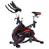 Powertrain RX-900 Exercise Spin Bike Cardio Cycling - Red-Sports & Fitness > Bikes & Accessories-PEROZ Accessories