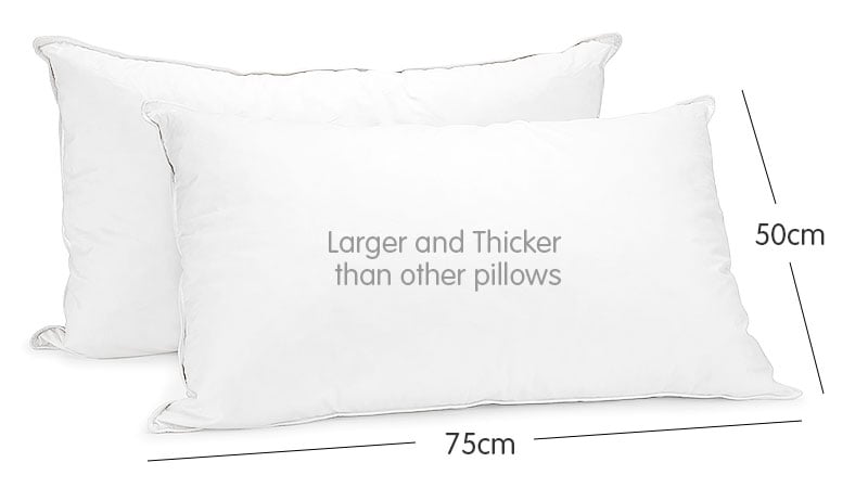 Laura Hill Duck Down Feather Pillow Twin Set - 1.3kg-Home &amp; Garden &gt; Bedding-PEROZ Accessories