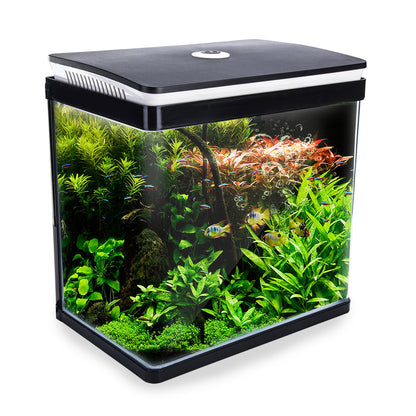 Dynamic Power Aquarium Fish Tank 30L Curved Glass RGB LED-Pet Care &gt; Aquarium-PEROZ Accessories