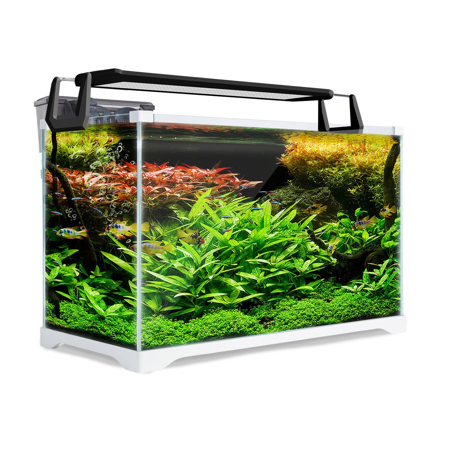 fish tank accessories online australia Shop Dynamic Power Aquarium Fish Tank 39L Starfire Glass