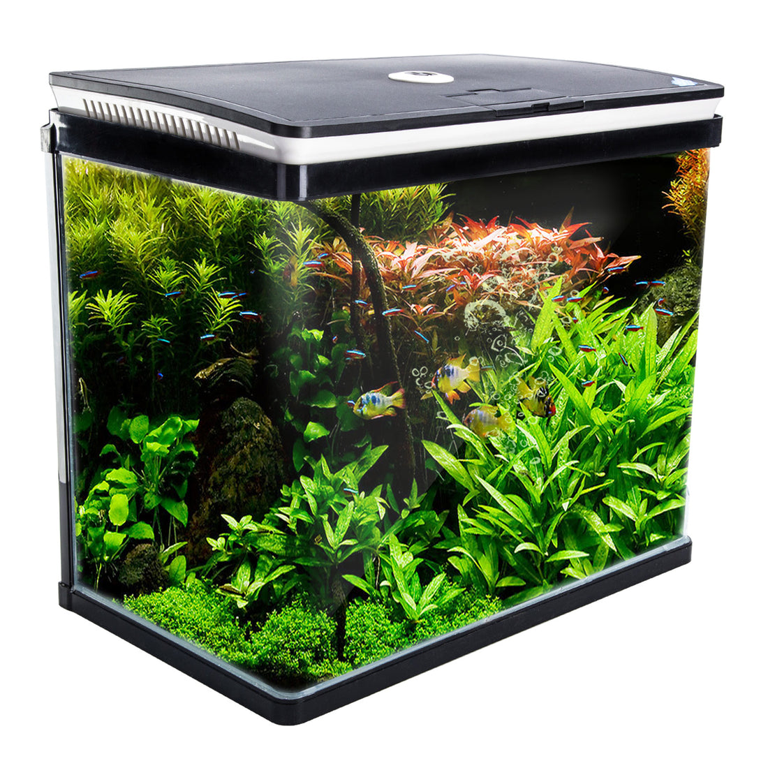 Dynamic Power Aquarium Fish Tank 52L Curved Glass RGB LED-Pet Care &gt; Aquarium-PEROZ Accessories