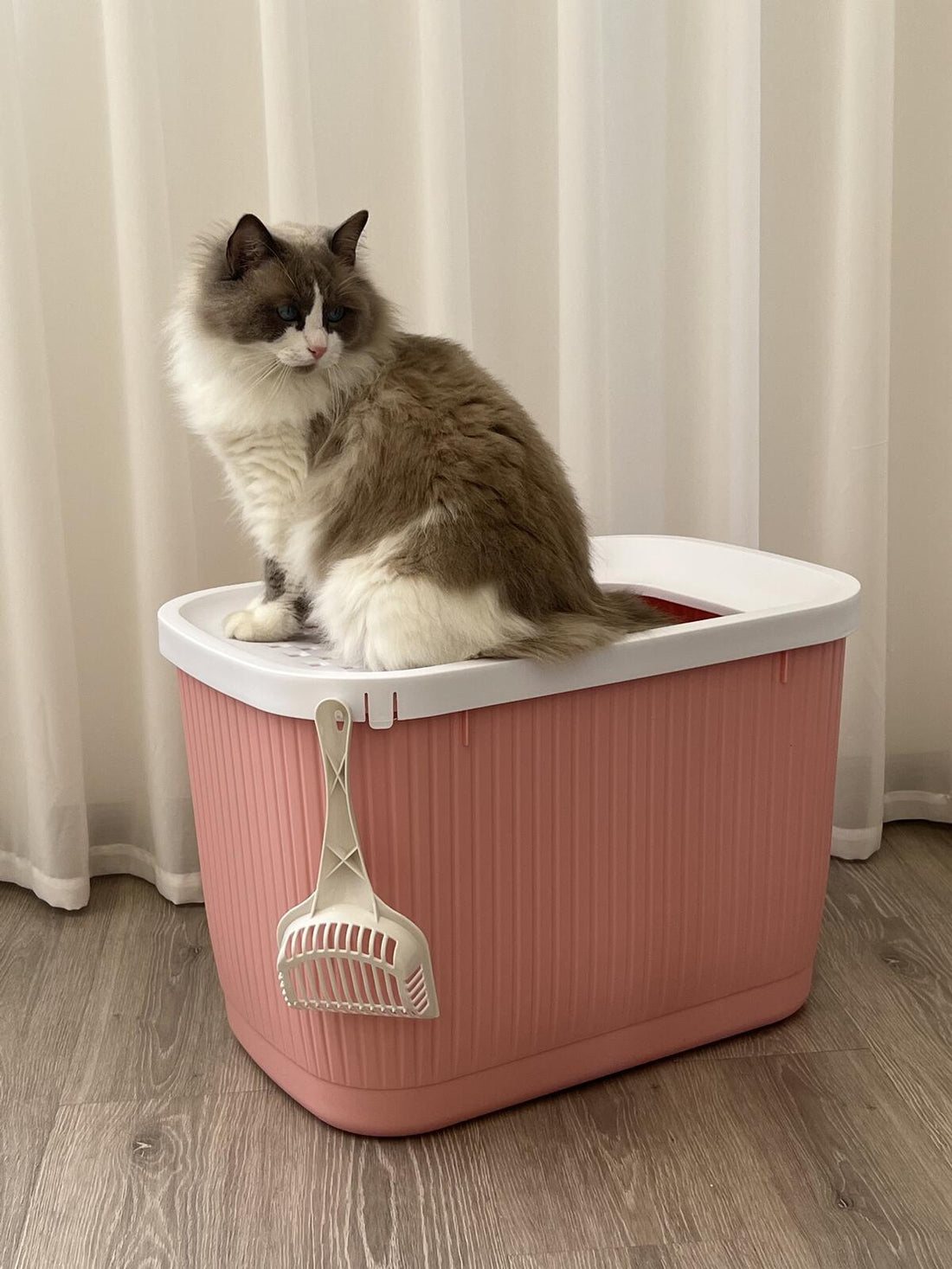YES4PETS XXL Top Entry Cat Litter Box No Mess Large Enclosed Covered Kitty Tray Pink-Pet Care &gt; Cat Supplies-PEROZ Accessories