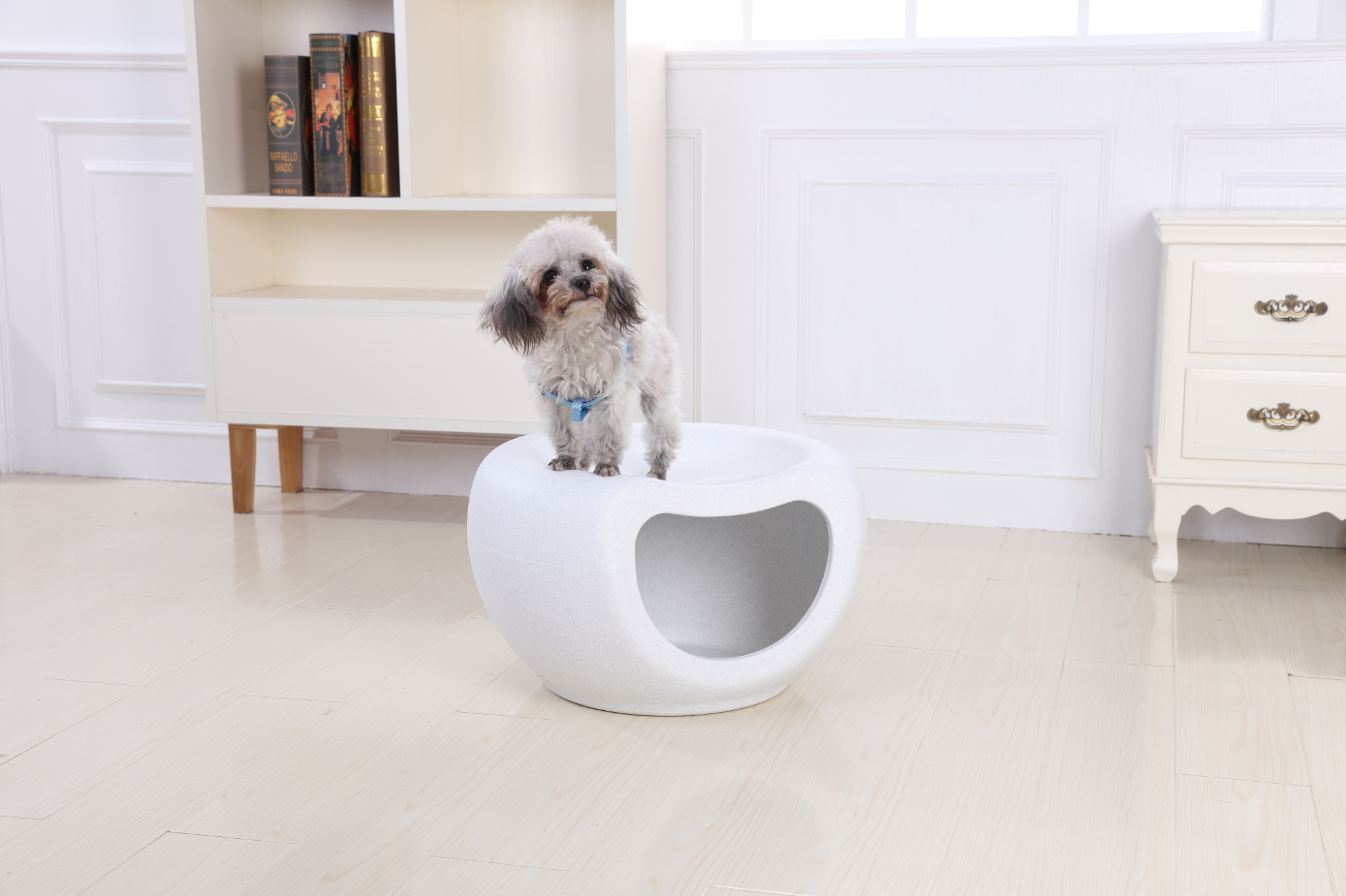 YES4PETS Cat Kitten Bed Cave Small Dog House Kennel Plastic Pet Pod Bedding Igloo White-Pet Care &gt; Cat Supplies-PEROZ Accessories