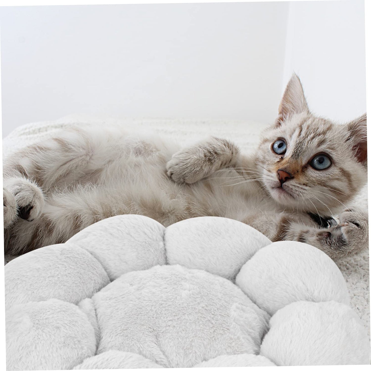 Hopet Small Flower Bag Cat Dog Bed Dog House Pet Puppy Kitten Sleepping Bed Sofa-Pet Care &gt; Dog Supplies-PEROZ Accessories